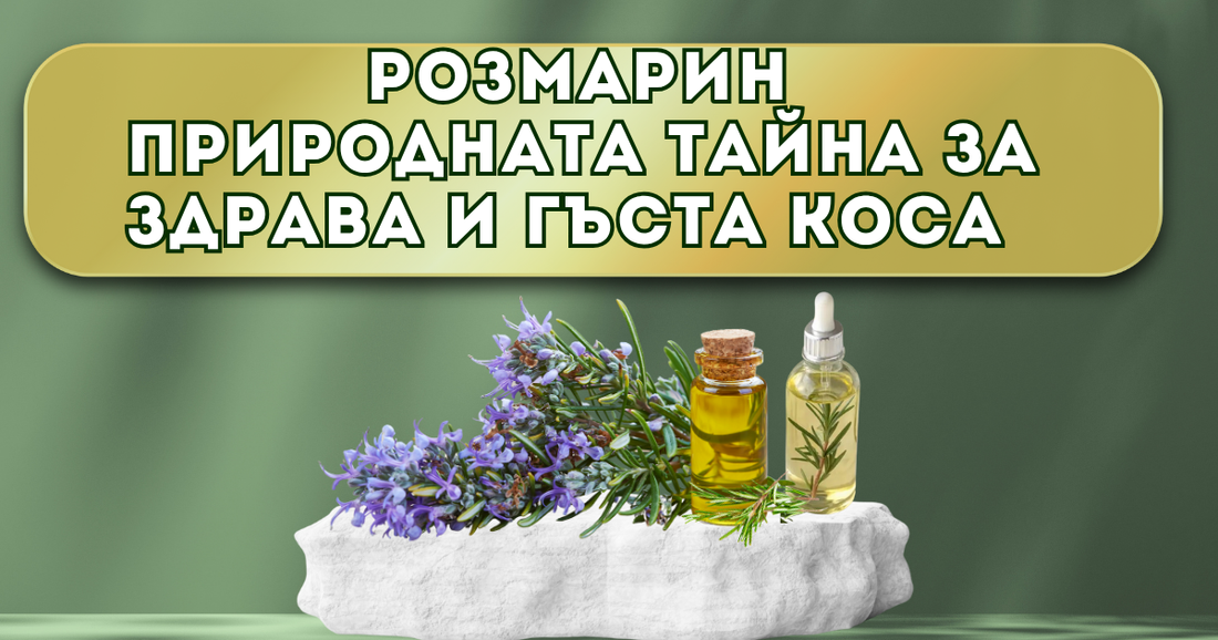 Розмарин за коса – природната тайна за здрава и гъста коса